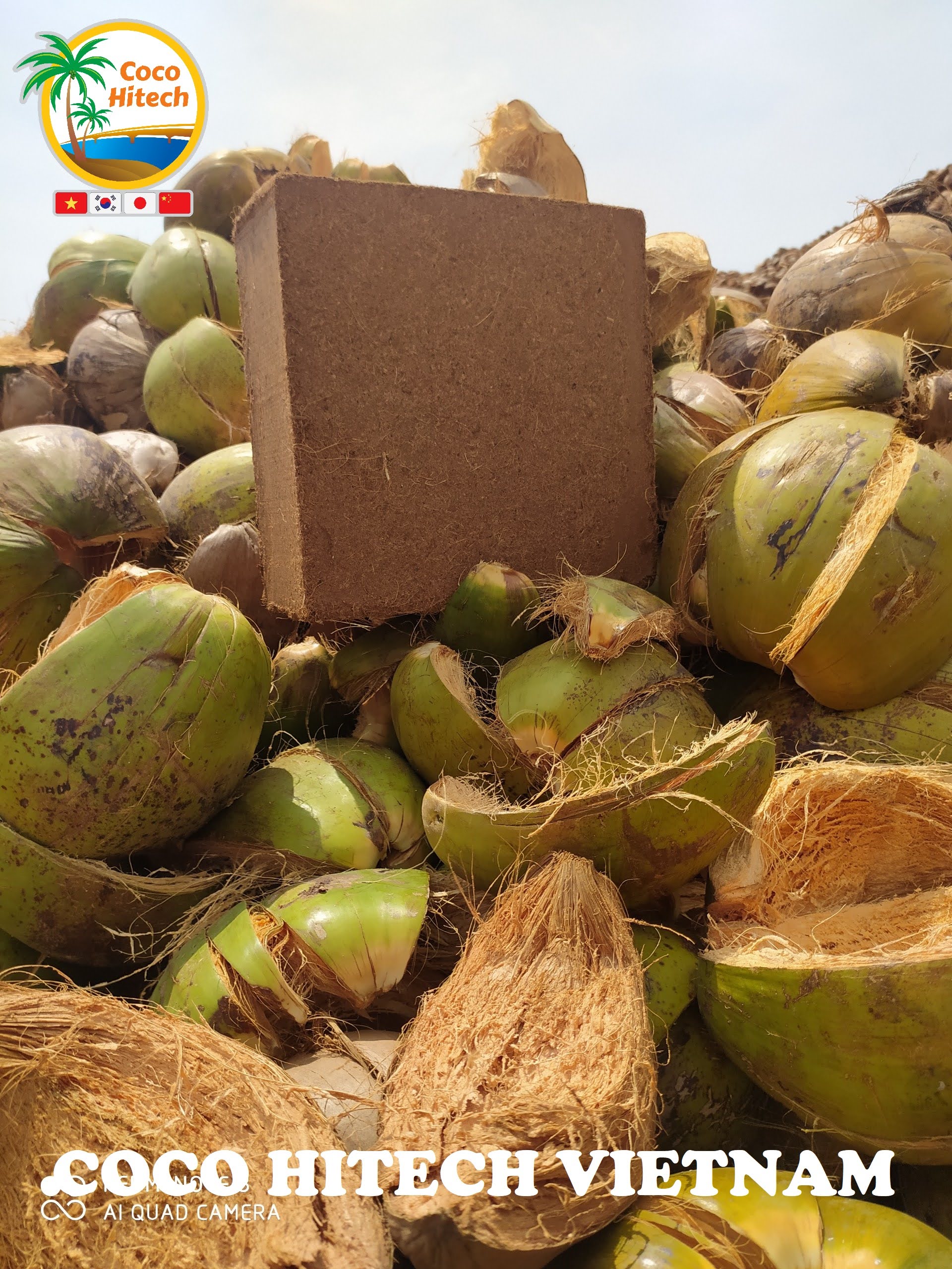 Mụn dừa ép khối - Công Ty CP COCO HITECH